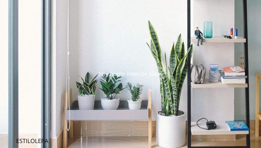 Tiny Home Interior Ideas: Smart, Stylish & Space-Saving Design Guide (2025)